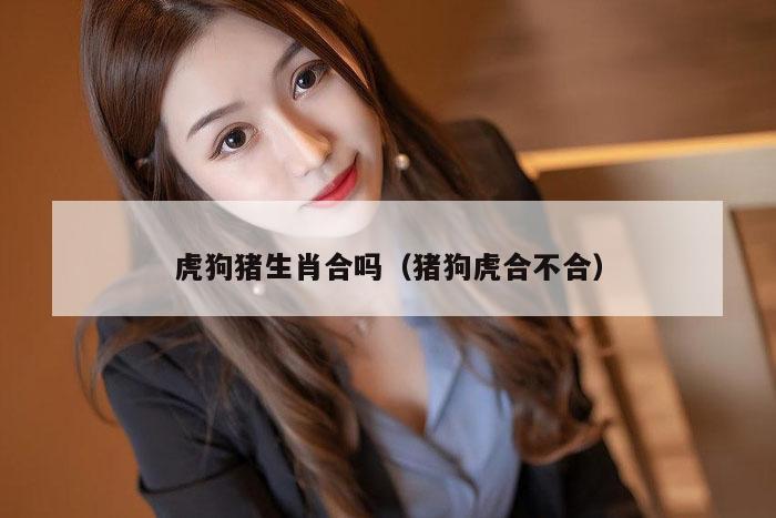 虎狗猪生肖合吗（猪狗虎合不合）
